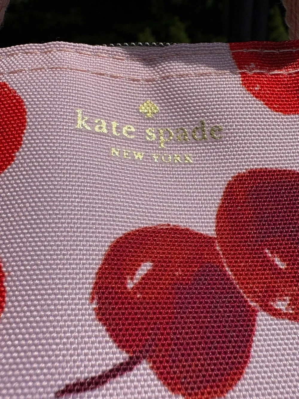 NWT Kate Spade Cherries Lunch Bag